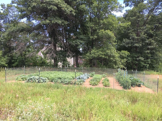 24455 Crocus St NW, Saint Francis, MN 55070 - view of yard with a garden and fence