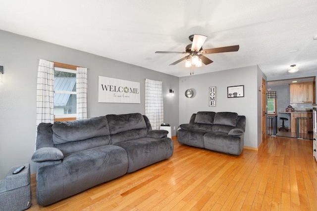 living room with ceiling fan and hardwood / wood-style floors