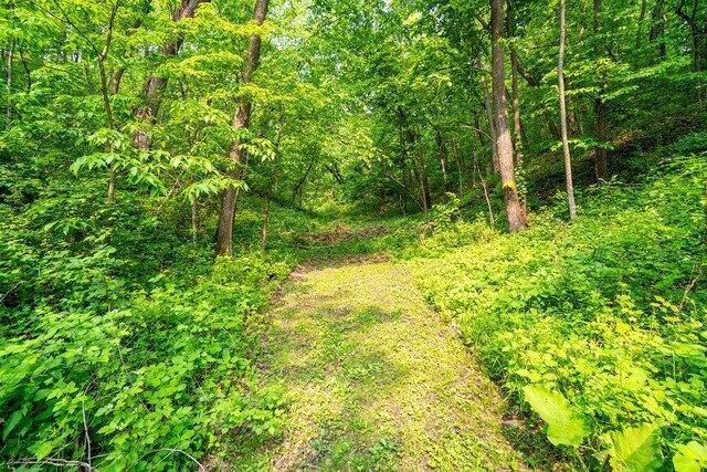 S1341 Deer Creek Rd, Nelson, WI 54756 - photo 7