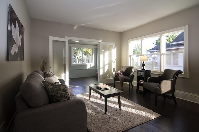 living room with dark hardwood / wood-style floors