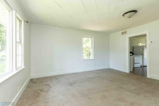 spare room featuring carpet flooring and crown molding