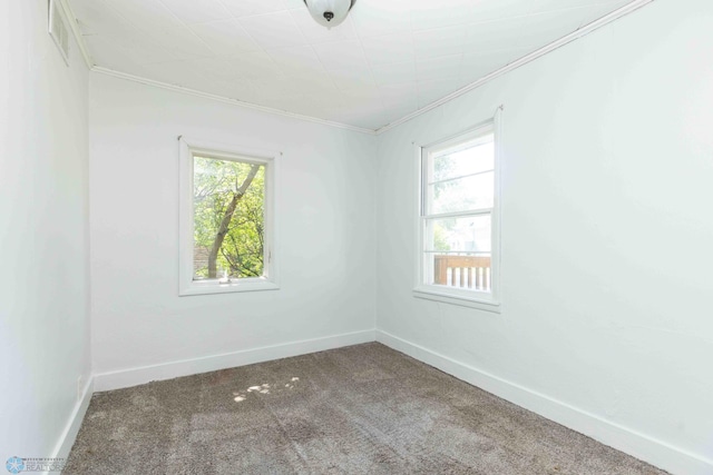 carpeted spare room featuring a wealth of natural light and ornamental molding