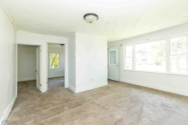 carpeted empty room featuring crown molding