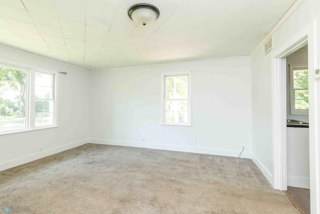 carpeted empty room with a healthy amount of sunlight