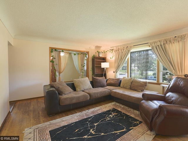 living room with a textured ceiling and hardwood / wood-style flooring