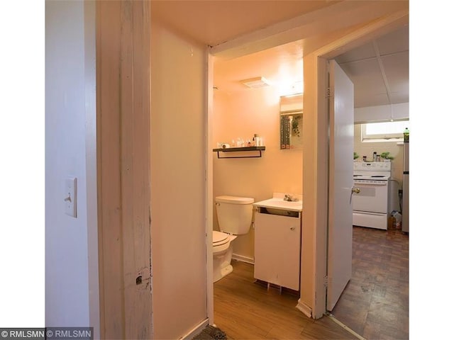 bathroom with hardwood / wood-style floors, vanity, and toilet