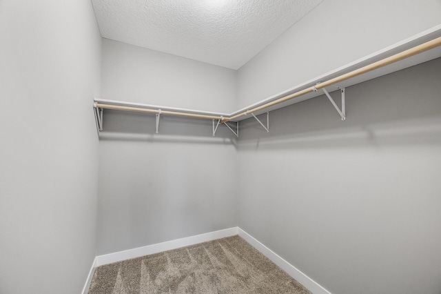 spacious closet featuring carpet floors