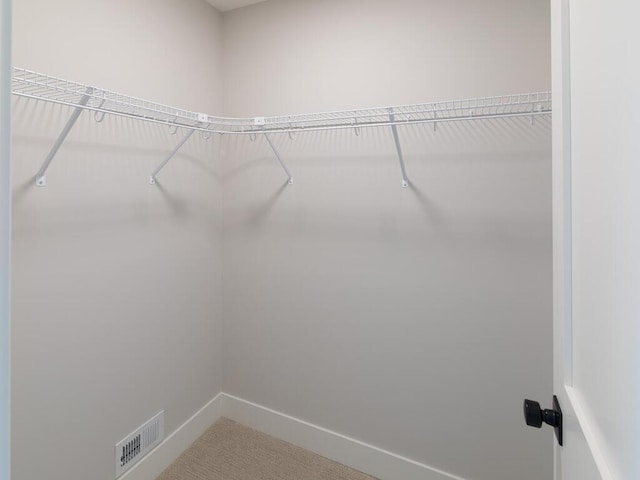 spacious closet with carpet