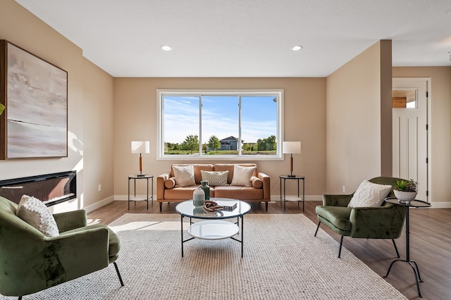 living room featuring light hardwood / wood-style flooring