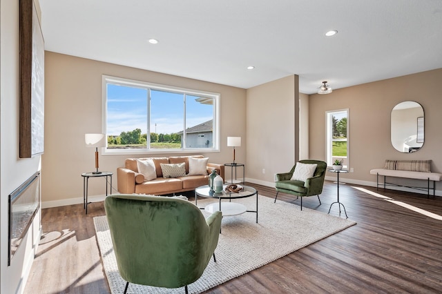 living room with hardwood / wood-style floors and plenty of natural light