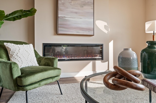 sitting room with hardwood / wood-style flooring