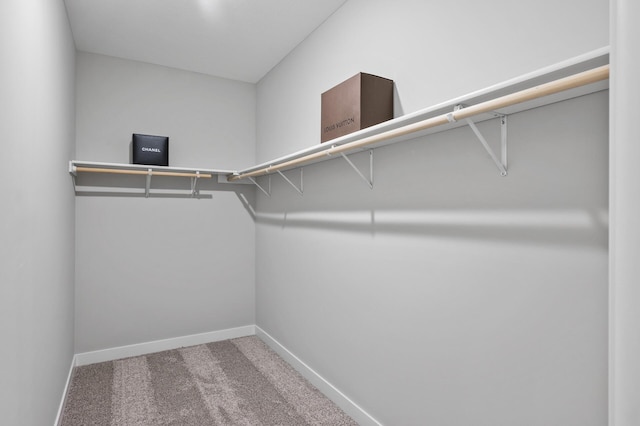 walk in closet featuring carpet flooring