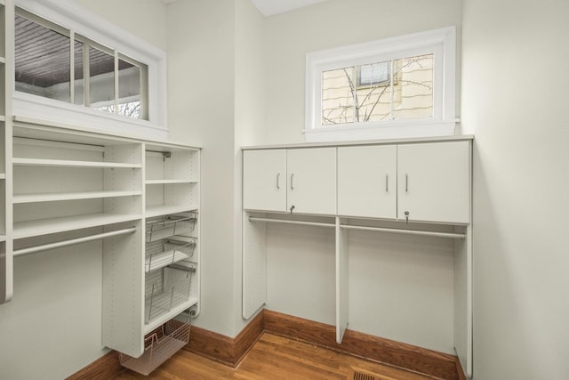 spacious closet with wood-type flooring