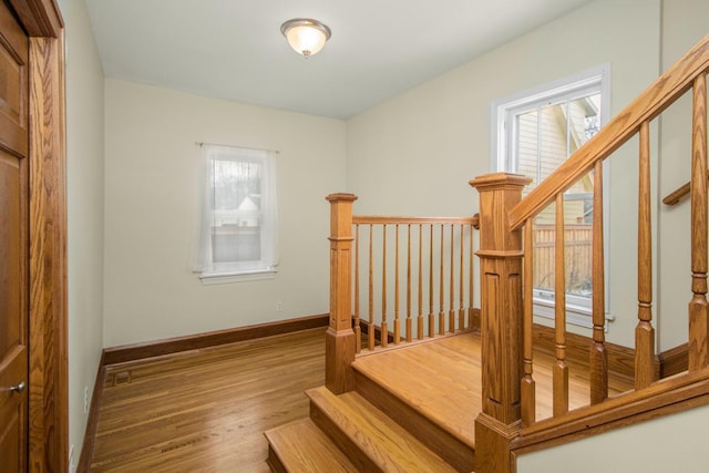 stairway with wood-type flooring and a wealth of natural light