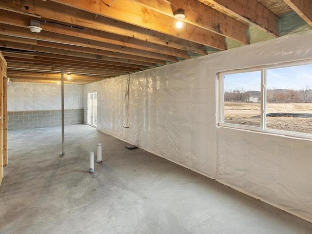 basement featuring a healthy amount of sunlight