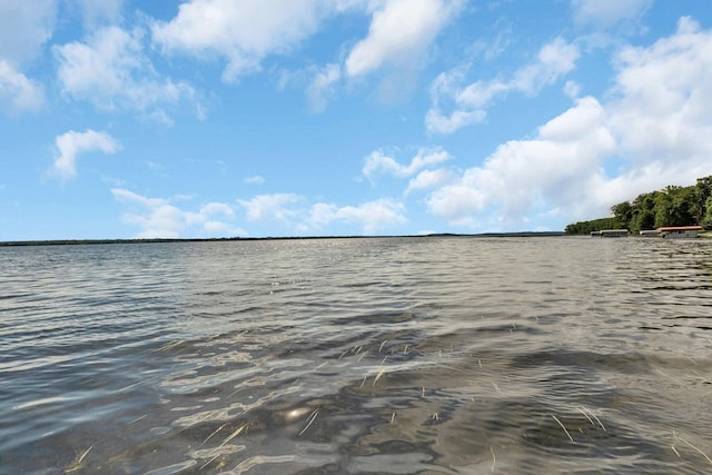 view of water feature