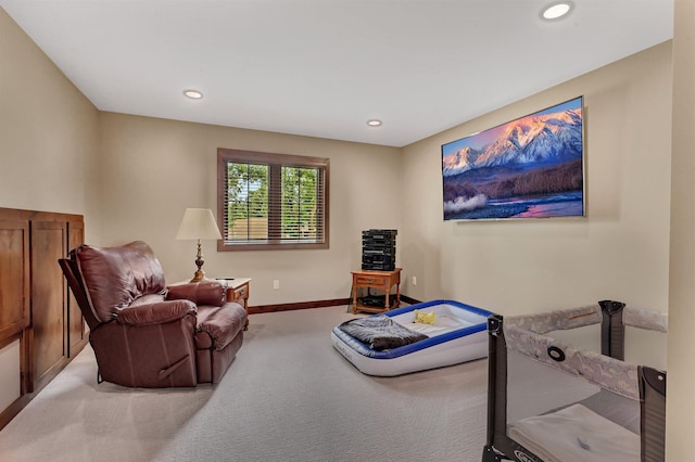 46376 Jungle Shore Trl, Perham, MN 56573 - photo 70