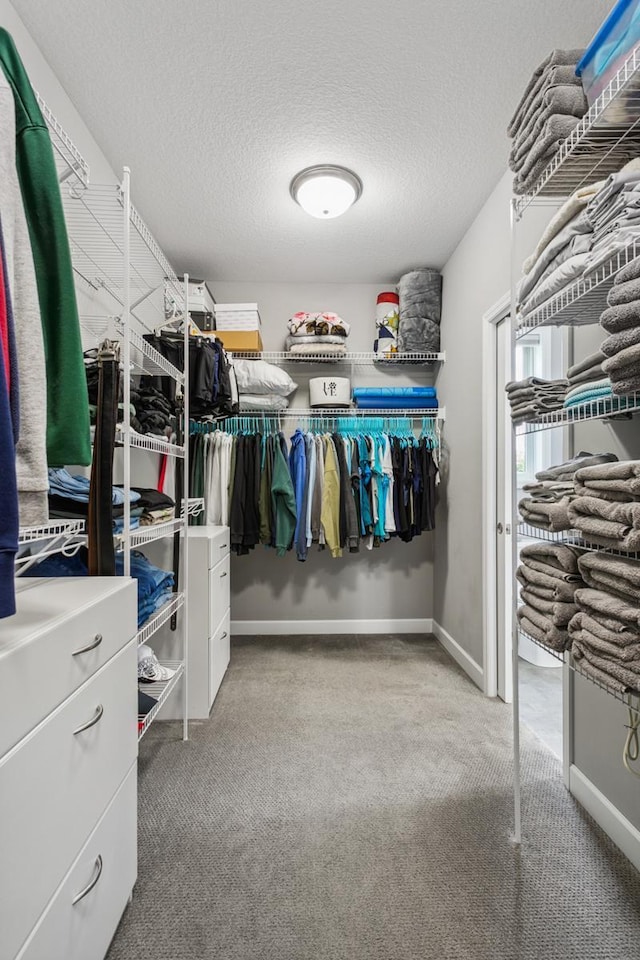 spacious closet featuring light carpet