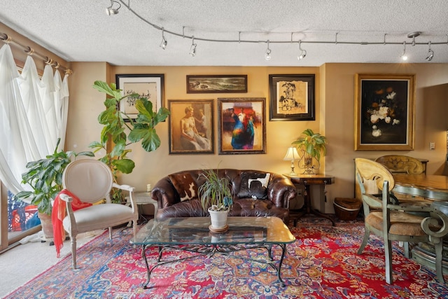 living room with carpet floors and a textured ceiling