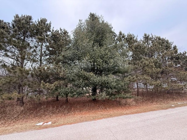 Listing photo 3 for TBD Kc Dr, Homer Twp MN 55987