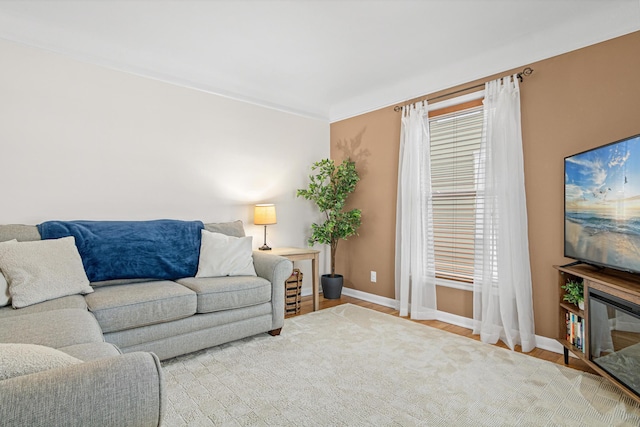 living room with wood-type flooring