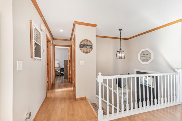 hallway featuring hardwood / wood-style floors and ornamental molding