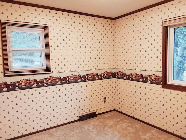 carpeted empty room with a healthy amount of sunlight and ornamental molding