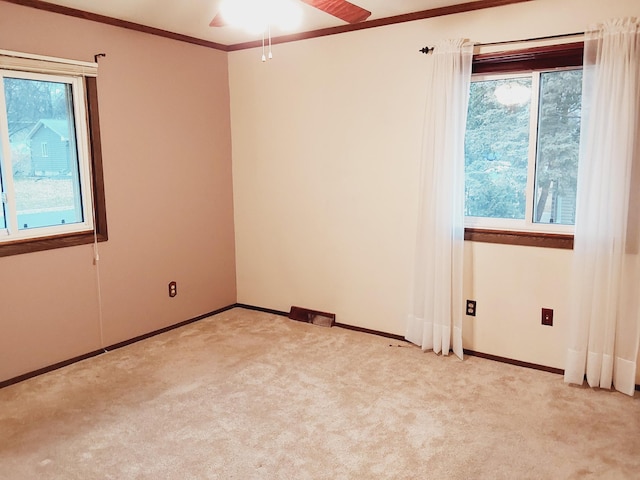 carpeted empty room with ceiling fan and crown molding