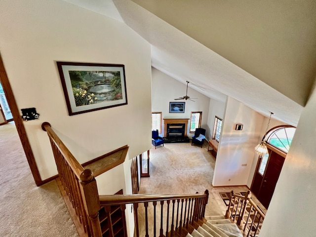 stairs with carpet, high vaulted ceiling, and ceiling fan