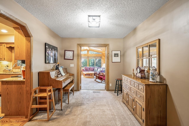 misc room featuring light carpet, a textured ceiling, and sink