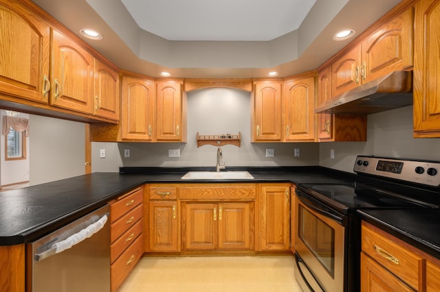 kitchen with sink, ventilation hood, kitchen peninsula, a tray ceiling, and appliances with stainless steel finishes