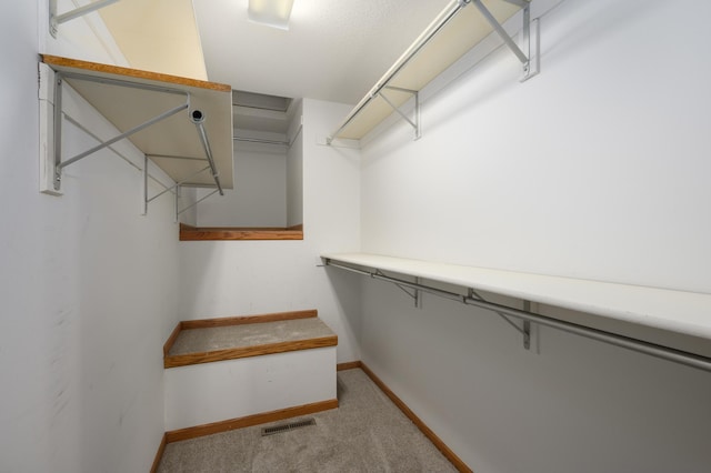 walk in closet with light carpet