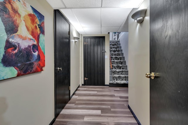 hall featuring a paneled ceiling and light wood-type flooring