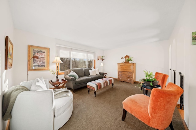 living room featuring carpet floors