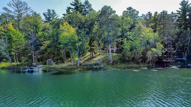 view of water feature with a boat dock