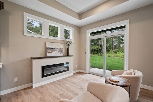 sitting room with a raised ceiling, a healthy amount of sunlight, and light wood-type flooring