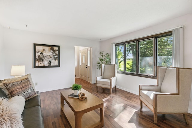 living room with hardwood / wood-style flooring