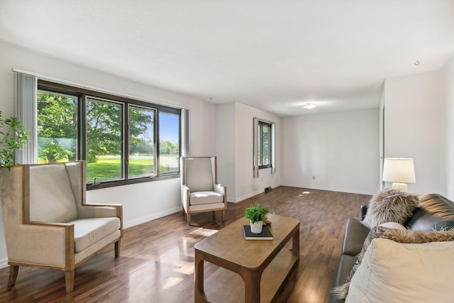 living room featuring dark hardwood / wood-style floors