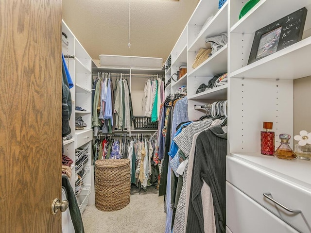 view of walk in closet