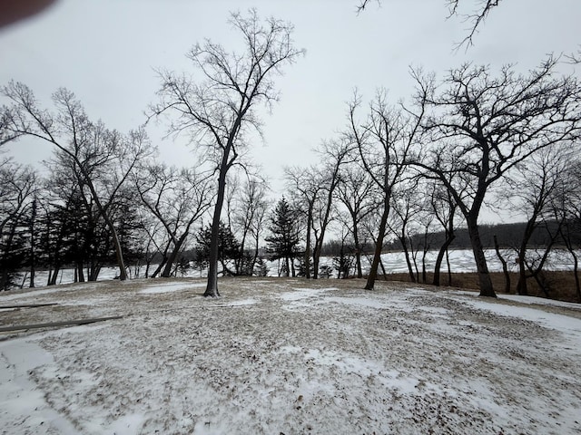 view of snowy yard