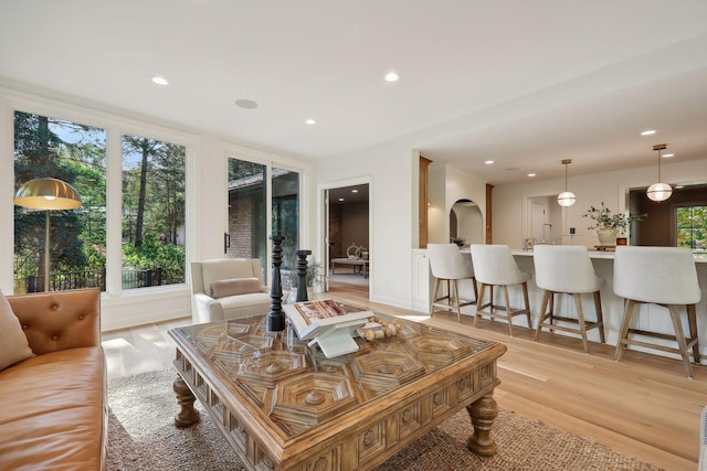 living room featuring light hardwood / wood-style flooring