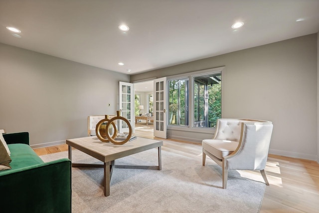 living room with french doors and light wood-type flooring