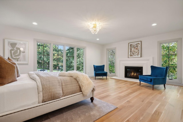 bedroom featuring light hardwood / wood-style flooring