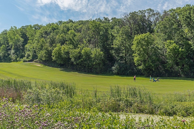 view of community featuring a lawn