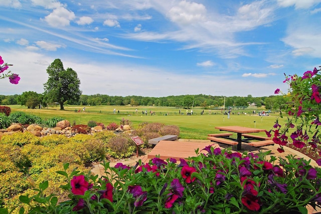 view of community with a lawn