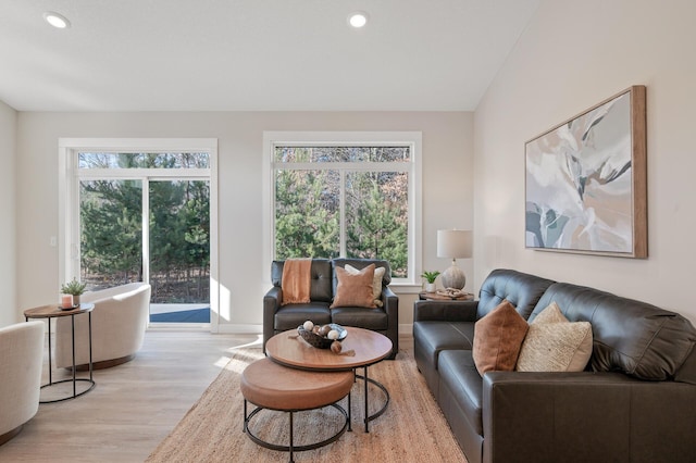 living room featuring light wood-type flooring