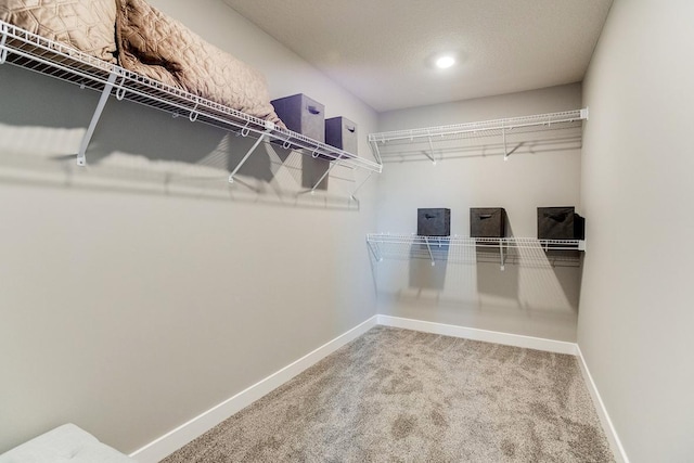 spacious closet with carpet floors