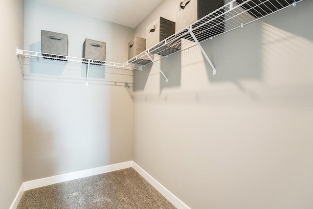 spacious closet with carpet