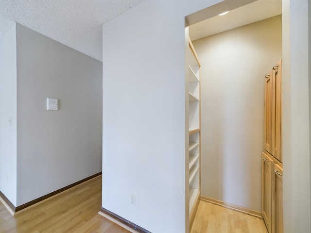 spacious closet with light wood-type flooring