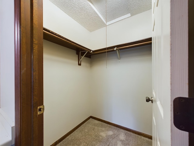 spacious closet with carpet flooring